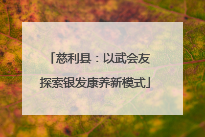 慈利县：以武会友 探索银发康养新模式