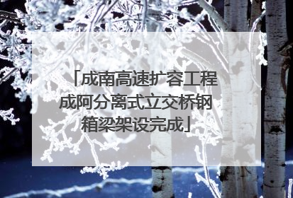 成南高速扩容工程成阿分离式立交桥钢箱梁架设完成
