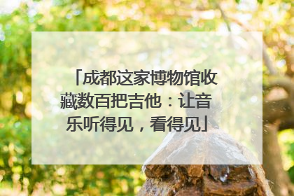 成都这家博物馆收藏数百把吉他：让音乐听得见，看得见