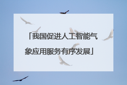 我国促进人工智能气象应用服务有序发展