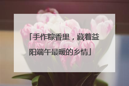 手作粽香里，藏着益阳端午最暖的乡情