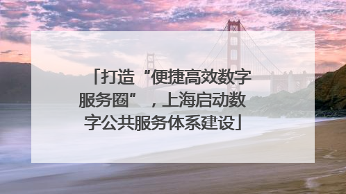 打造“便捷高效数字服务圈”，上海启动数字公共服务体系建设