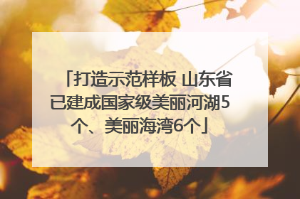 打造示范样板 山东省已建成国家级美丽河湖5个、美丽海湾6个