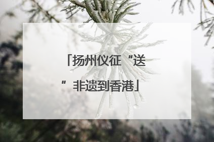扬州仪征“送”非遗到香港