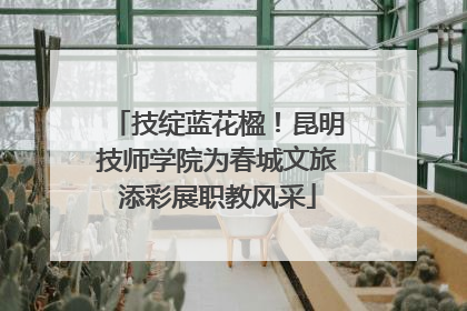 技绽蓝花楹！昆明技师学院为春城文旅添彩展职教风采