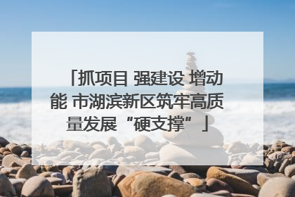 抓项目 强建设 增动能 市湖滨新区筑牢高质量发展“硬支撑”