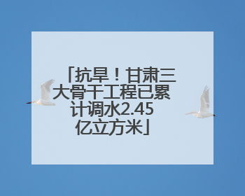 抗旱！甘肃三大骨干工程已累计调水2.45亿立方米
