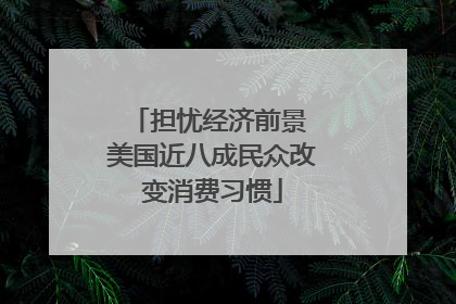 担忧经济前景 美国近八成民众改变消费习惯