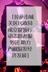 拉萨市城关区民政局成立银领行动志愿者服务团 助力西藏银发经济发展