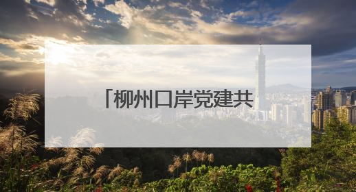 柳州口岸党建共同体“党建大讲堂”活动举行