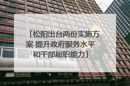松阳出台两份实施方案 提升政府服务水平和干部履职能力