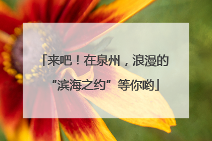 来吧！在泉州，浪漫的“滨海之约”等你哟