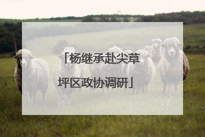 杨继承赴尖草坪区政协调研