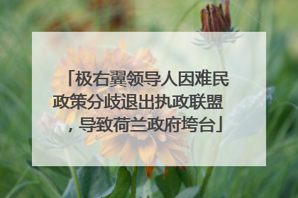 极右翼领导人因难民政策分歧退出执政联盟，导致荷兰政府垮台