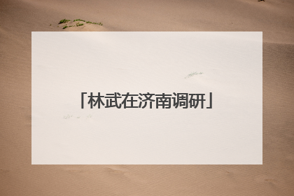 林武在济南调研