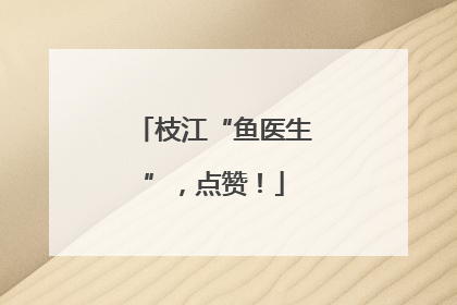 枝江“鱼医生”，点赞！