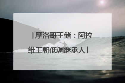 摩洛哥王储：阿拉维王朝低调继承人