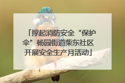 撑起消防安全“保护伞”杨园街道柴东社区开展安全生产月活动