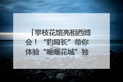 攀枝花馆亮相西博会！“豹局长”带你体验“暖暖花城”独特魅力｜西博视界