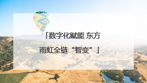 数字化赋能 东方雨虹全链“智变”