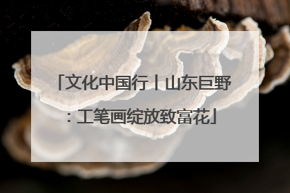 文化中国行丨山东巨野：工笔画绽放致富花