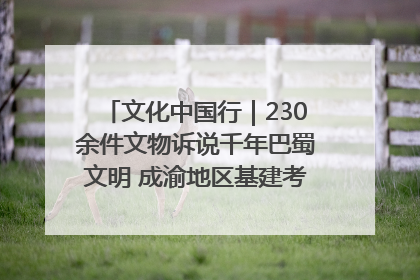 文化中国行｜230余件文物诉说千年巴蜀文明 成渝地区基建考古成果展开展