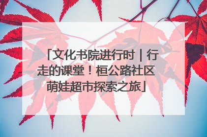 文化书院进行时｜行走的课堂！桓公路社区萌娃超市探索之旅