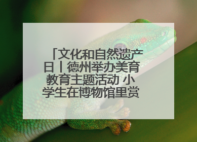 文化和自然遗产日丨德州举办美育教育主题活动 小学生在博物馆里赏文物画文物
