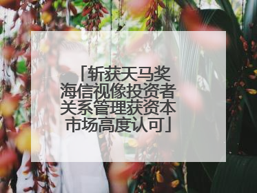 斩获天马奖 海信视像投资者关系管理获资本市场高度认可