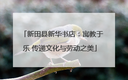 新田县新华书店：寓教于乐 传递文化与劳动之美