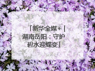 新华全媒+｜湖南岳阳：守护碧水迎蝶变