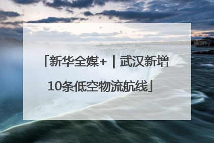 新华全媒+｜武汉新增10条低空物流航线