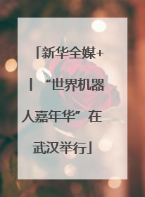 新华全媒+丨“世界机器人嘉年华”在武汉举行