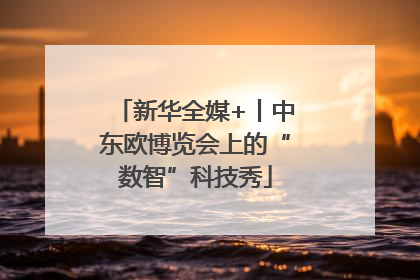 新华全媒+丨中东欧博览会上的“数智”科技秀
