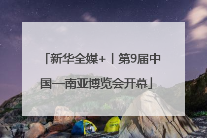 新华全媒+丨第9届中国—南亚博览会开幕
