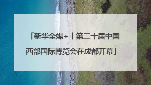 新华全媒+丨第二十届中国西部国际博览会在成都开幕