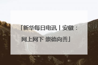 新华每日电讯丨安徽：网上网下 崇德向善
