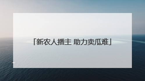 新农人播主 助力卖瓜难