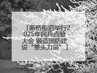 新桥街道举行2025年民兵点验大会 锻造国防建设“拳头力量”