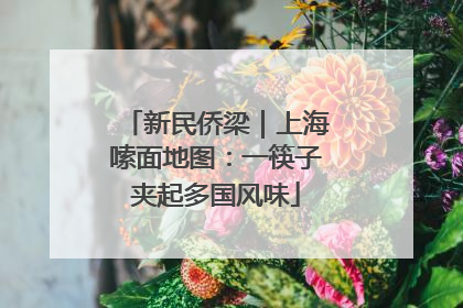 新民侨梁｜上海嗦面地图：一筷子夹起多国风味