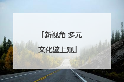 新视角 多元文化壁上观