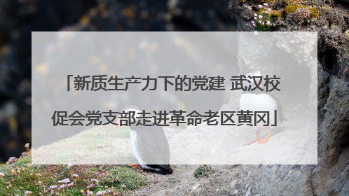 新质生产力下的党建 武汉校促会党支部走进革命老区黄冈