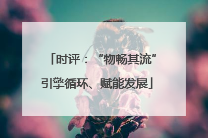 时评：“物畅其流”引擎循环、赋能发展
