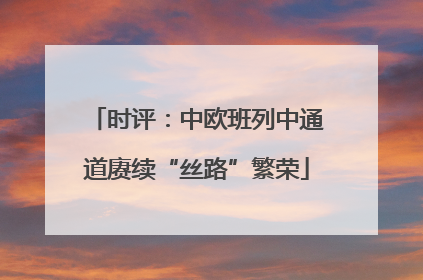 时评：中欧班列中通道赓续“丝路”繁荣