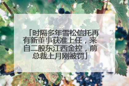 时隔多年雪松信托再有新董事获准上任，来自二股东江西金控，前总裁上月刚被罚