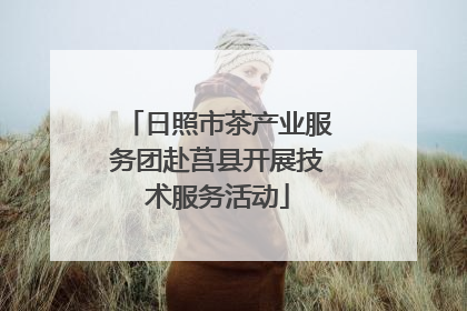 日照市茶产业服务团赴莒县开展技术服务活动