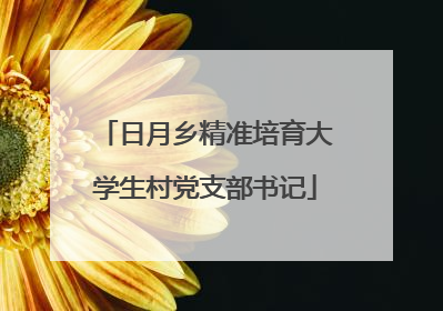 日月乡精准培育大学生村党支部书记