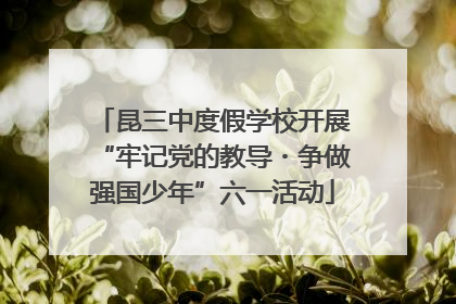 昆三中度假学校开展“牢记党的教导・争做强国少年”六一活动