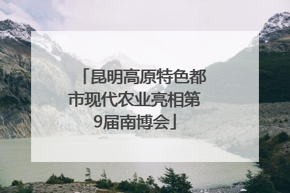 昆明高原特色都市现代农业亮相第9届南博会