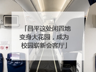 昌平这处闲置地变身大花园，成为校园崭新会客厅